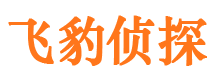 肥东市侦探调查公司